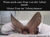Gro�e Ohren