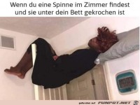 Spinne unterm Bett