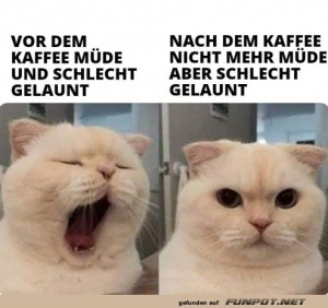 Schlecht-gelaunt.jpg auf www.funpot.net