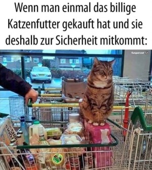 Katze-kommt-jetzt-lieber-mit.jpg auf www.funpot.net