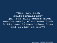 Ironische Aussage �ber Erkl�rungen