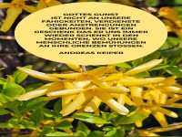 gottes gunst ist nicht ..