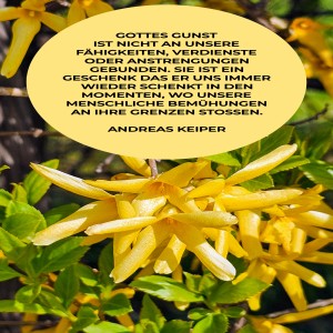 gottes-gunst-ist-nicht-...jpg von Fabioma