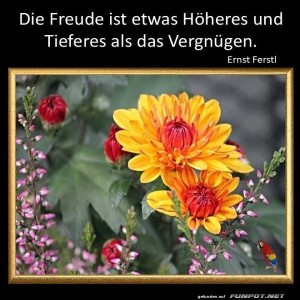 Die-Freude-ist.jpg von Sirene