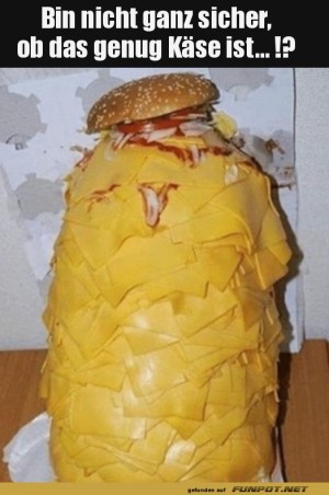Ein-Burger-fr-Kse-Liebhaber.jpg auf www.funpot.net