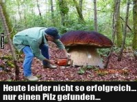 Gigantischer Fund im Wald!