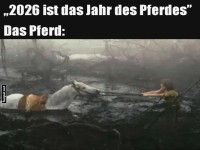 Wenn das Pferdejahr im Schlamm steckt!