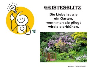 herz-Bild: Nr. 9 Geistesblitz