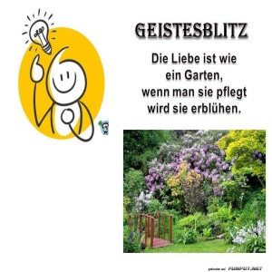 Nr.-9-Geistesblitz.jpg von lucky