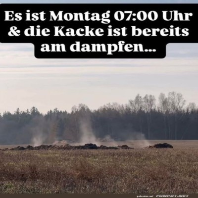 Montagmorgen-in-der-freien-Natur.jpg von Josefin