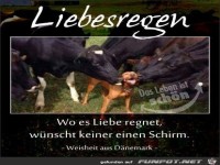 Liebesregen