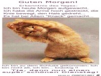 Dienstag