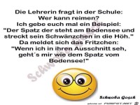 Der Spatz am Bodensee