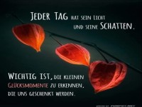 jeder tag hat sein licht