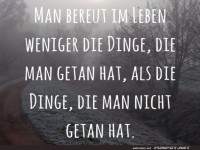 man bereut im Leben weniger die Dinge....