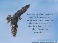 Wenn es dich nicht mehr