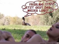 Der Fr�hling wieder