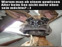Warum man ab einem gewissen Alter beim Sex nicht mehr ......