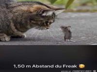 Halt gef�lligst Abstand