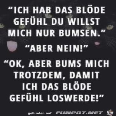 bloedes-Gefuehl.jpg von Sasse