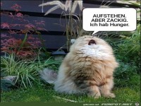 Aufstehen aber zackig