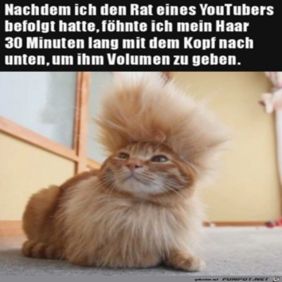 Fönfrisur.jpg von Pius