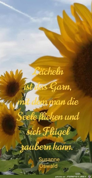 Lcheln-ist-das-Garn.jpg auf www.funpot.net