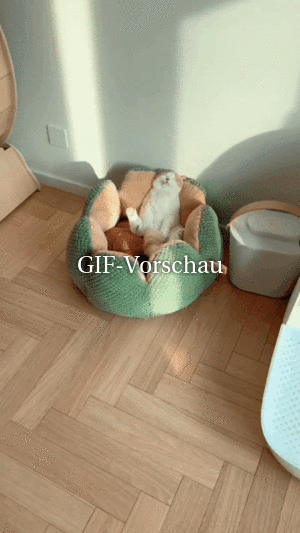 Witziges Video FROHES FEST - Tausende Videos Auf FUNPOT