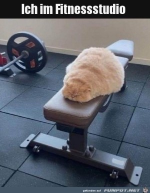 Im-Fitnessstudio.jpg auf www.funpot.net