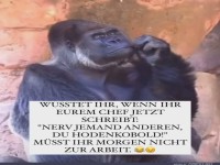 Super Tipp