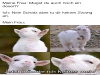 Zwangloser Dessertverzicht
