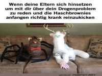 Wenn Plueschtiere deine Therapie starten