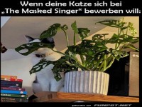 Katzen-Casting bei 'The Masked Singer'