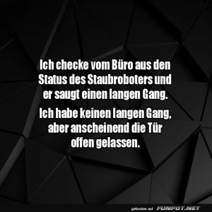 Staubsauger-auf-unerwarteten-Abwegen.jpg von Bela