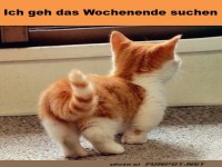 Wochenende suchen