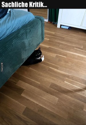 Wenn-Kritik-einfach-unter-die-Couch-schl�pft!.jpg auf www.funpot.net