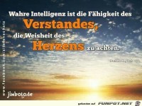 wahre intelligenz