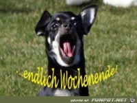 endlich WE