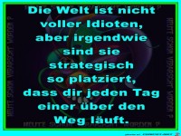 Die Welt ist nicht