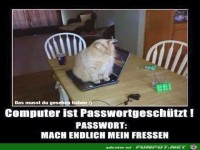 Passwort gesch�tzt