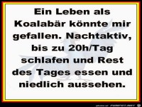 Das waere mein Leben