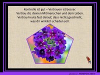 Kontrolle ist gut