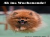 weiter