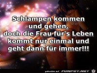 Schlampen kommen und gehen