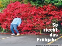 So riecht der Fr�hling