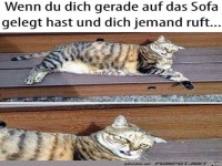 Wenn du es dir gerade auf der Couch gem�tlich gemacht hast
