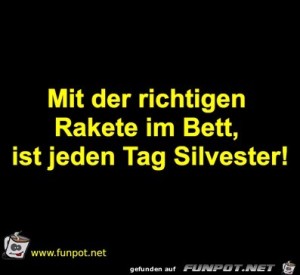 Silvester.jpg auf www.funpot.net