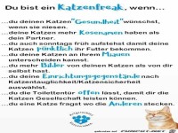 Du bist ein Katzenfreak,wenn....