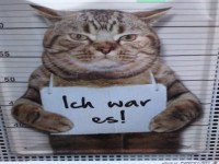 Ich war es
