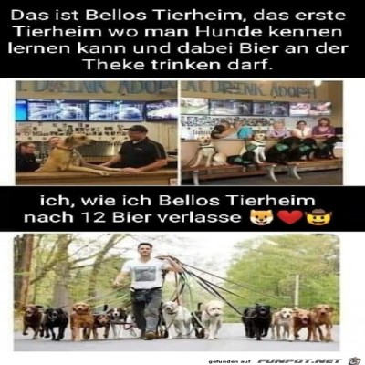Bellos-Tierheim.jpg von Heather